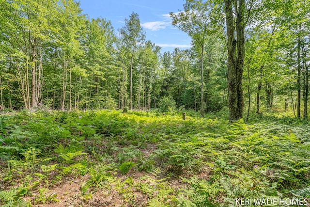 3231 E Baker Rd, Hesperia, MI 49421 - view of wooded area