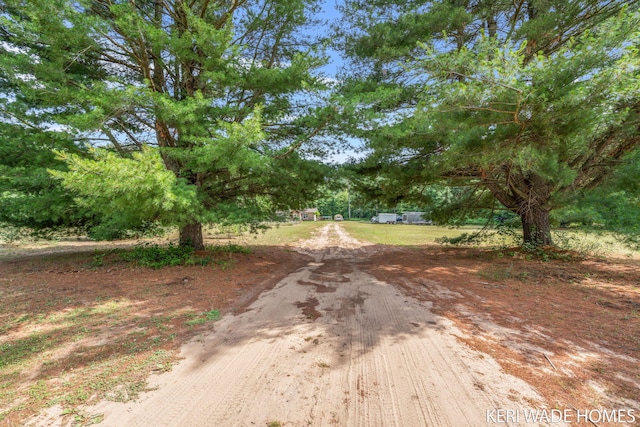 3231 E Baker Rd, Hesperia, MI 49421 - view of road