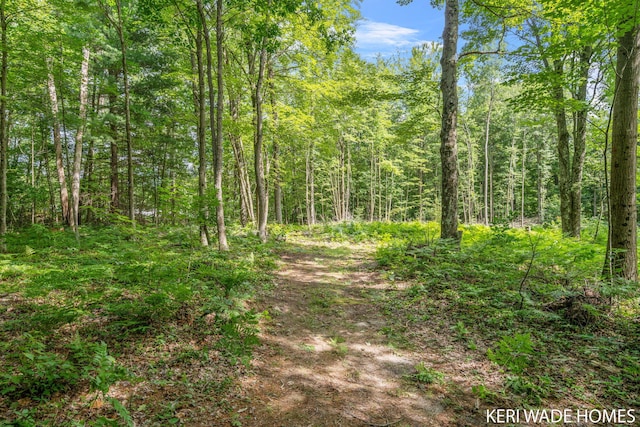 3231 E Baker Rd, Hesperia, MI 49421 - view of wooded area