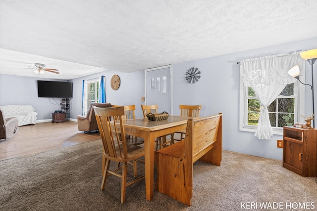 3231 E Baker Rd, Hesperia, MI 49421 - dining room with carpet, a textured ceiling, and ceiling fan