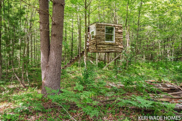 3231 E Baker Rd, Hesperia, MI 49421 - view of outbuilding with a view of trees and stairs