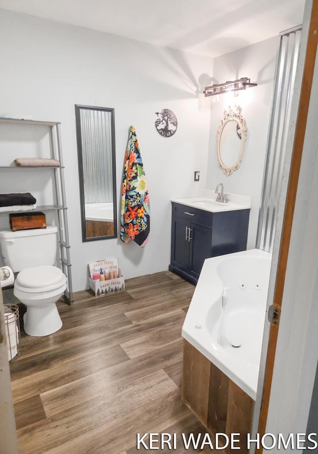 3231 E Baker Rd, Hesperia, MI 49421 - full bathroom featuring a tub with jets, vanity, and wood finished floors
