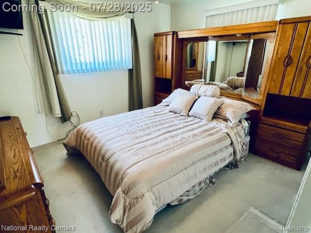 33030 Cowan Rd, Westland, MI 48185 - photo 19