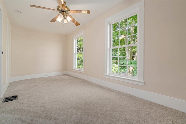 829 Miller Rd, Plainwell, MI 49080 - photo 45