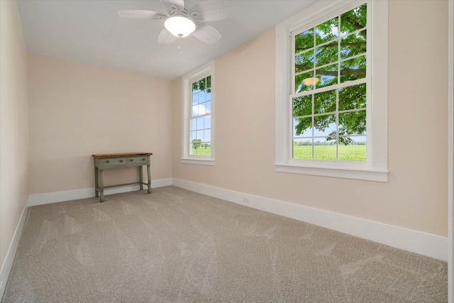 829 Miller Rd, Plainwell, MI 49080 - photo 46