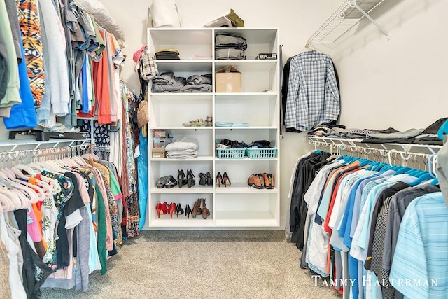 6129 W Bay Ct, Hudsonville, MI 49426 - walk in closet with carpet