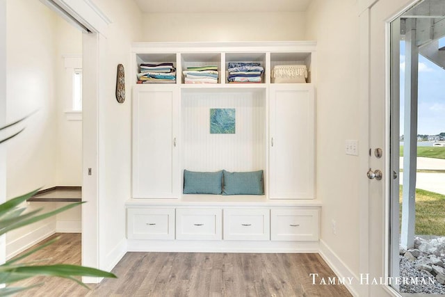 6129 W Bay Ct, Hudsonville, MI 49426 - mudroom with wood finished floors and baseboards