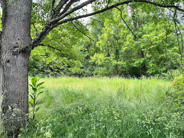 15750 N Q Dr, Bellevue, MI 49021 - photo 38