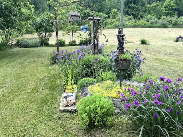 15750 N Q Dr, Bellevue, MI 49021 - photo 27