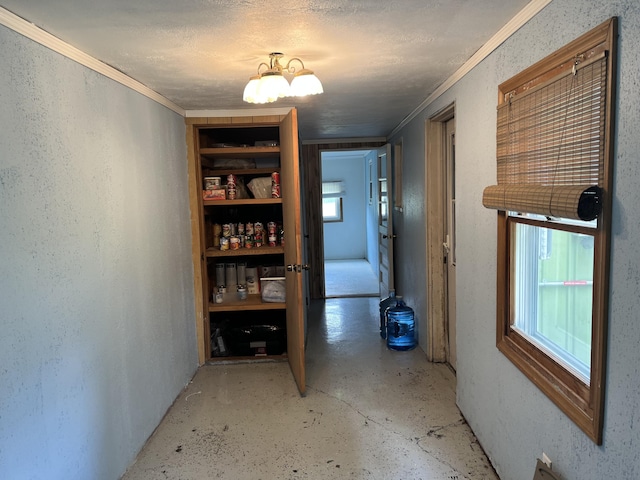 15750 N Q Dr, Bellevue, MI 49021 - photo 20