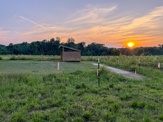 10677 Mason Dr, Grant, MI 49327 - yard at dusk featuring a rural view