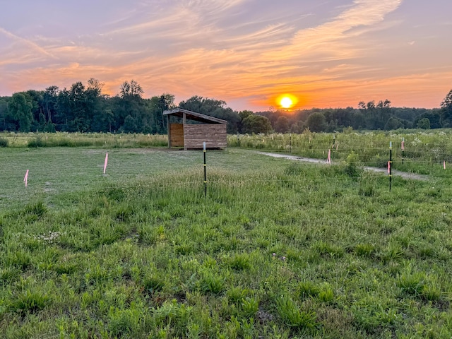 10677 Mason Dr, Grant, MI 49327 - view of yard with a view of rural / pastoral area