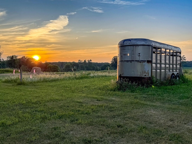 10677 Mason Dr, Grant, MI 49327 - view of yard at dusk