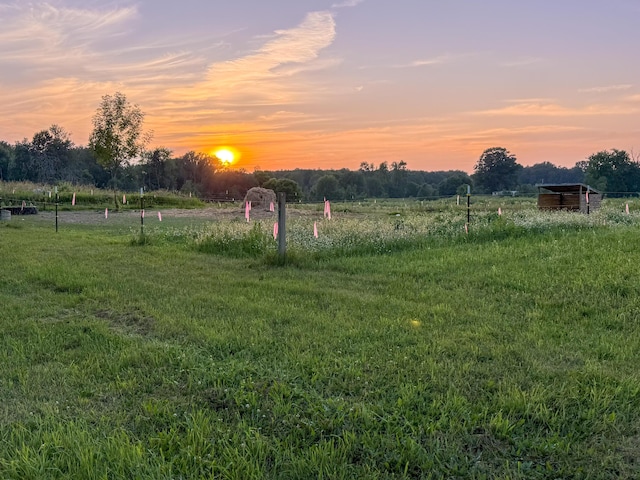 10677 Mason Dr, Grant, MI 49327 - view of yard with a view of rural / pastoral area