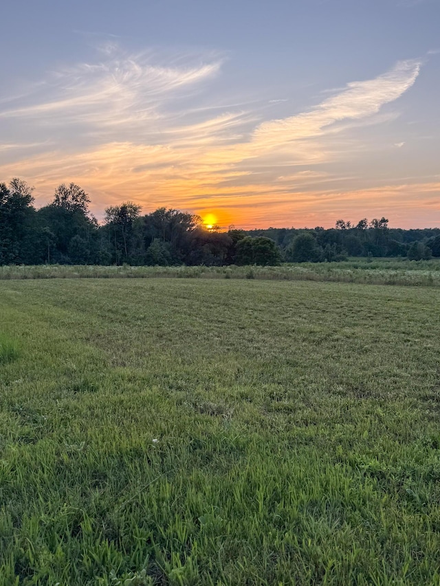 10677 Mason Dr, Grant, MI 49327 - view of yard with a view of countryside
