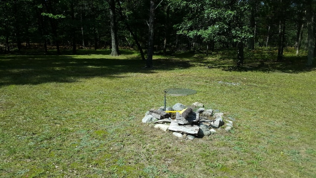 9279 S Forman Rd, Baldwin, MI 49304 - view of green lawn