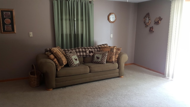 9279 S Forman Rd, Baldwin, MI 49304 - living room with carpet and baseboards