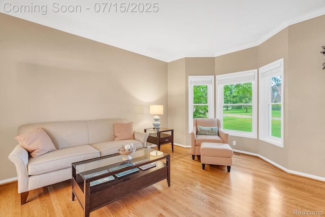 11656 Kings Colony, Grand Blanc, MI 48439 - living room featuring ornamental molding and light wood-style flooring