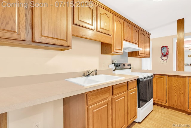11656 Kings Colony, Grand Blanc, MI 48439 - kitchen with range with electric stovetop, under cabinet range hood, light countertops, light wood finished floors, and a peninsula