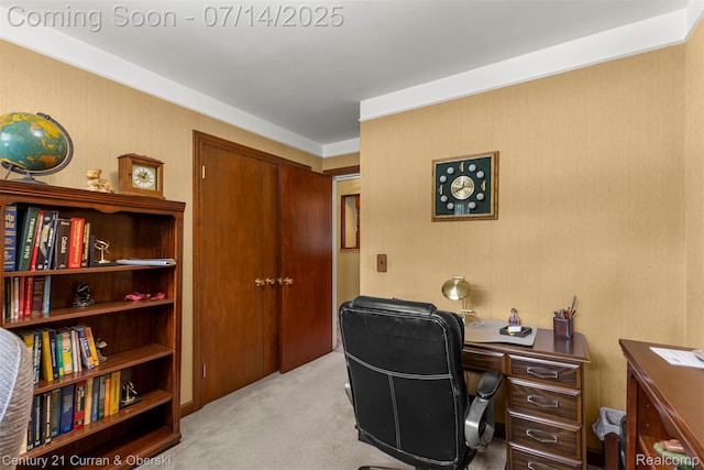 35209 Dewberry St, Farmington Hills, MI 48331 - photo 20