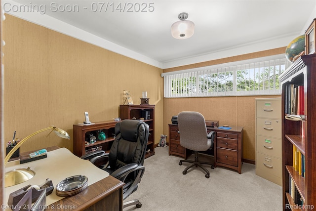 35209 Dewberry St, Farmington Hills, MI 48331 - photo 19