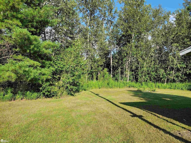 5125 Cook Rd, West Branch, MI 48661 - photo 4