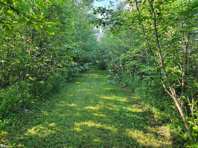 5125 Cook Rd, West Branch, MI 48661 - photo 5