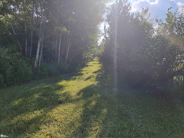 5125 Cook Rd, West Branch, MI 48661 - photo 7