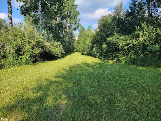 5125 Cook Rd, West Branch, MI 48661 - photo 8