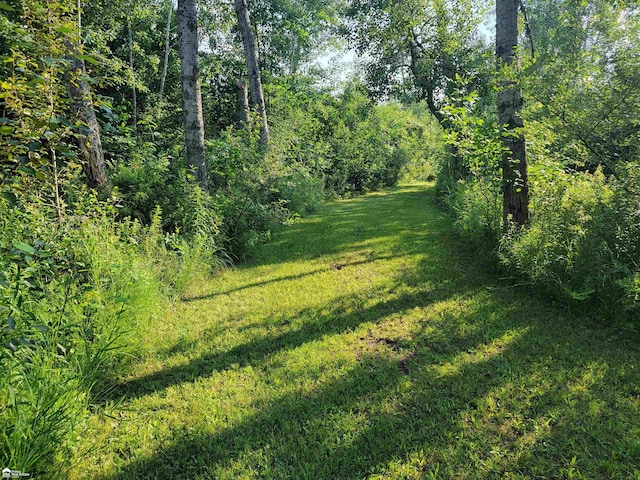 5125 Cook Rd, West Branch, MI 48661 - photo 9