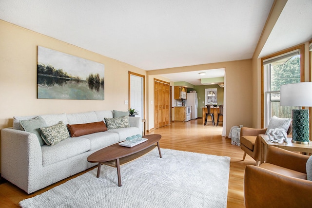 275 W State St, Coldwater, MI 49036 - living room featuring light wood-style flooring