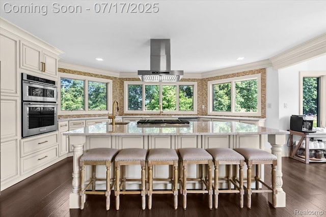 61353 W 8 Mile Rd, South Lyon, MI 48178 - kitchen with crown molding, stainless steel appliances, exhaust hood, light stone countertops, and a center island with sink