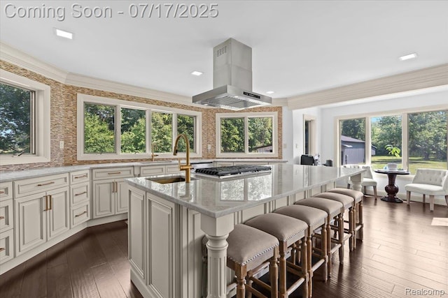 61353 W 8 Mile Rd, South Lyon, MI 48178 - kitchen with light stone counters, range hood, a center island with sink, and dark wood-style floors