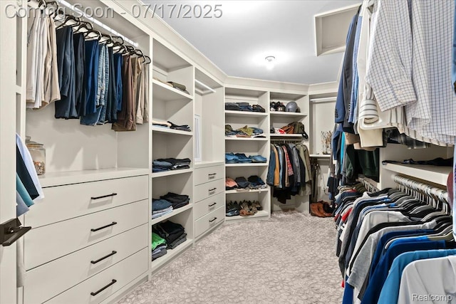 61353 W 8 Mile Rd, South Lyon, MI 48178 - walk in closet with attic access and carpet floors