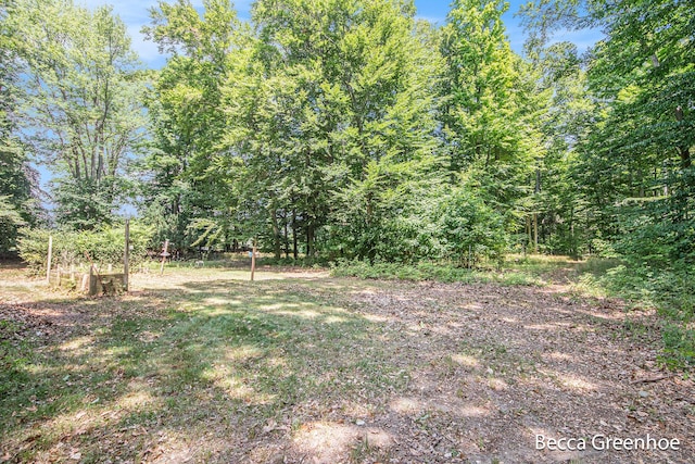 14180 168th Ave, Grand Haven, MI 49417 - view of yard with a wooded view