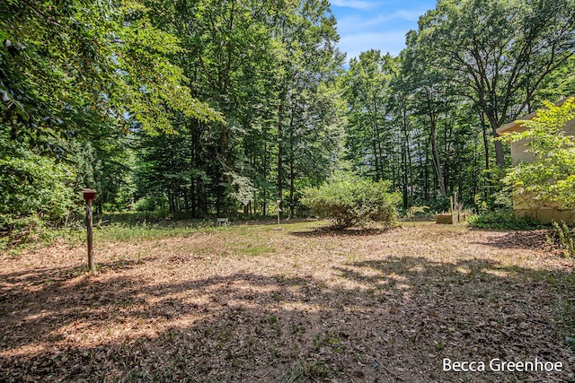 14180 168th Ave, Grand Haven, MI 49417 - view of yard with a wooded view