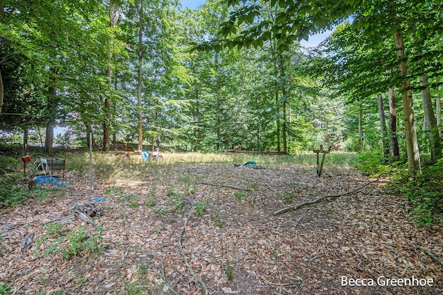 14180 168th Ave, Grand Haven, MI 49417 - view of yard
