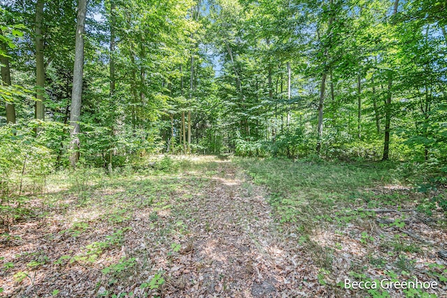 14180 168th Ave, Grand Haven, MI 49417 - view of woods