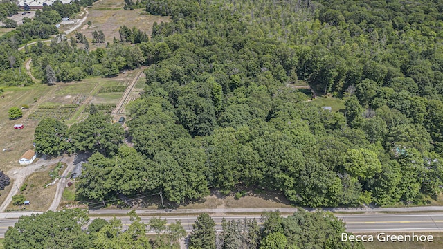 14180 168th Ave, Grand Haven, MI 49417 - aerial view of property and surrounding area