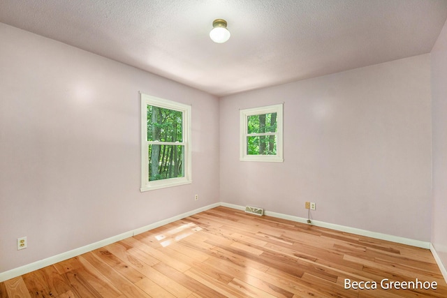 14180 168th Ave, Grand Haven, MI 49417 - empty room with light wood-type flooring