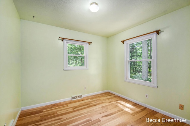 14180 168th Ave, Grand Haven, MI 49417 - spare room with light wood-style floors and plenty of natural light