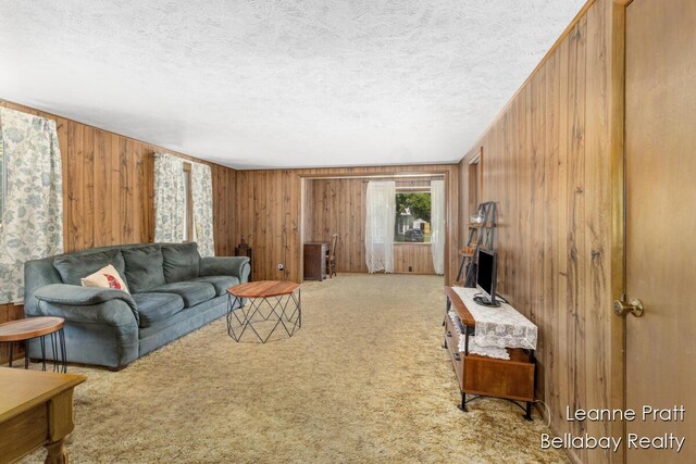 136 Race St, Freeport, MI 49325 - photo 11