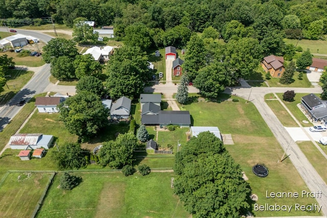 136 Race St, Freeport, MI 49325 - photo 9