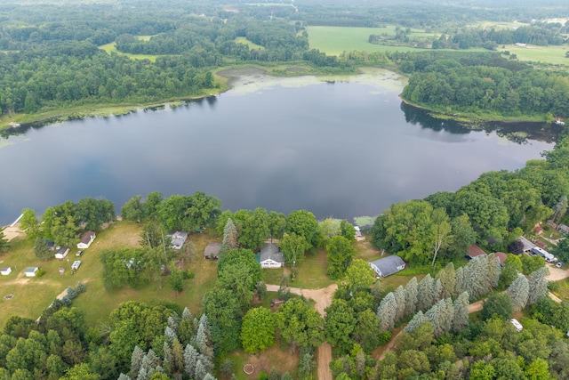 3110 13 Mile Rd, Remus, MI 49340 - aerial view of property and surrounding area featuring a nearby body of water