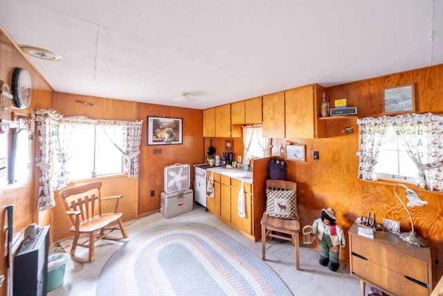 3110 13 Mile Rd, Remus, MI 49340 - kitchen featuring wooden walls, light countertops, and brown cabinets