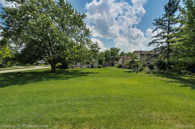40309 Franklin Mill St, Novi, MI 48375 - photo 8