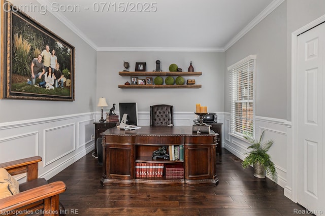 23331 Sawgrass Ct S, South Lyon, MI 48178 - office with ornamental molding, dark wood-type flooring, wainscoting, and a decorative wall