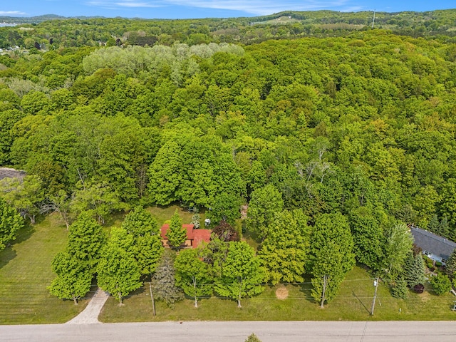 8424 3rd St, Onekama, MI 49675 - photo 57