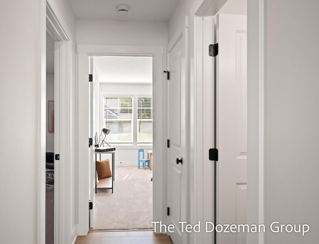 3171 Timberpine Ave, Holland, MI 49424 - hall featuring carpet