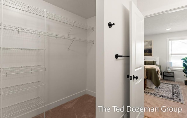 3171 Timberpine Ave, Holland, MI 49424 - spacious closet with carpet floors